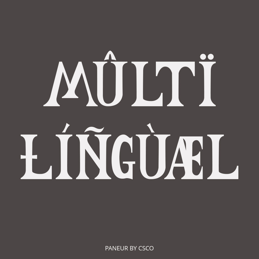 paneur-serif-typeface-craft-supply-co-7.jpg
