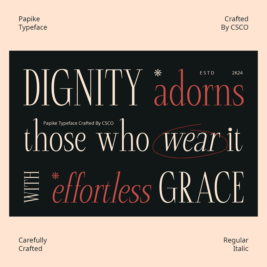 papike-modern-serif-craft-supply-co-3.jpg