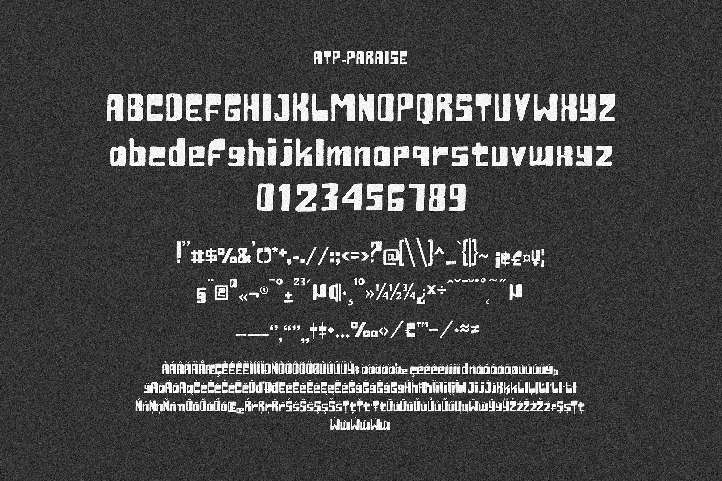 paraise-bold-displayfont-typeparties-6.png