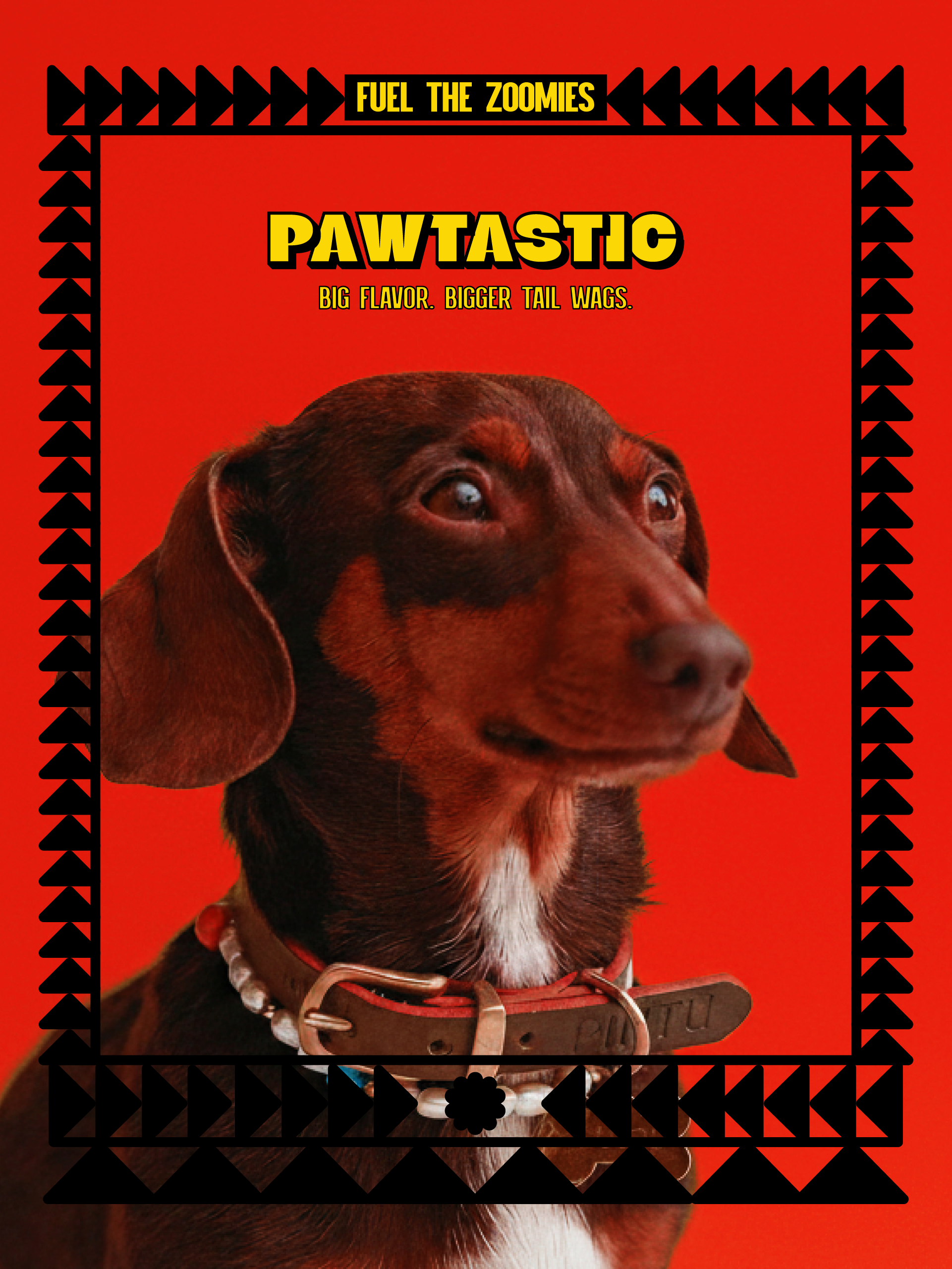 pawtastic-branding-kit-studioaiah-11.png