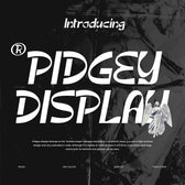 Pidgey