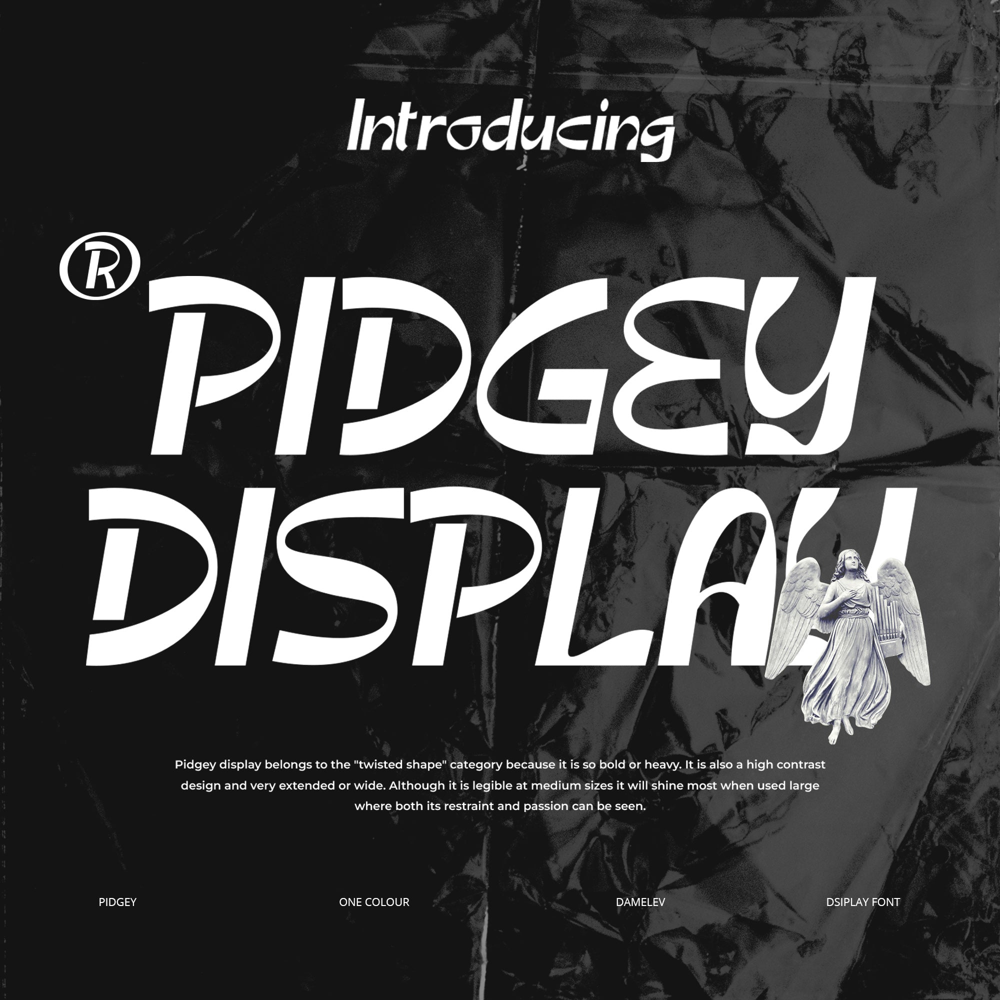 pidgey-damelev-1.jpg