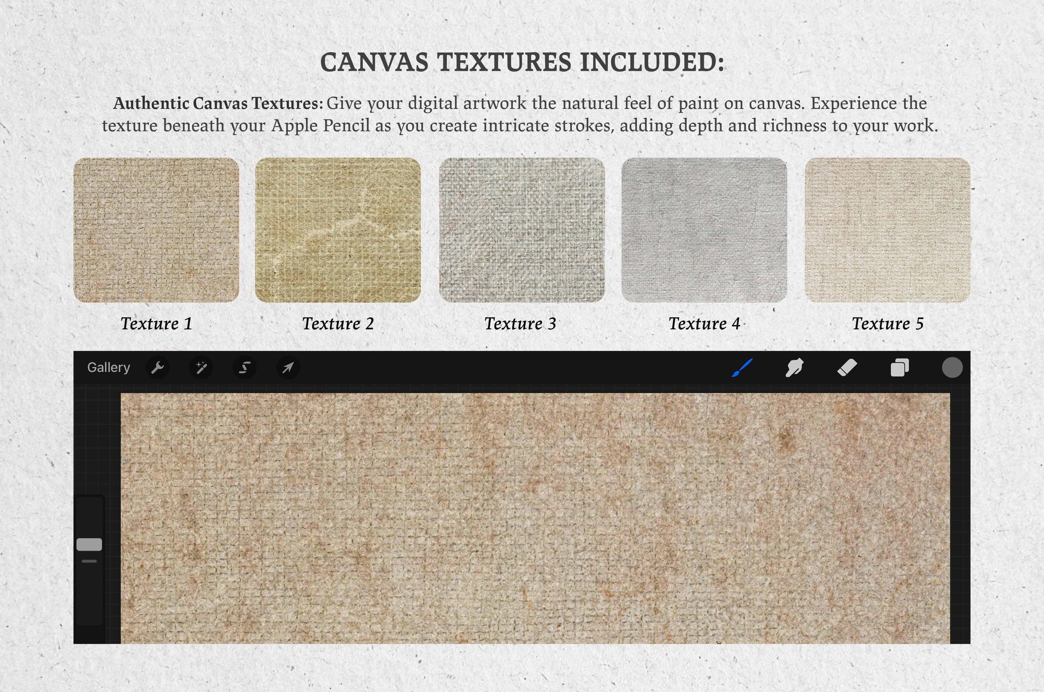 Pieter Claesz Procreate Kit