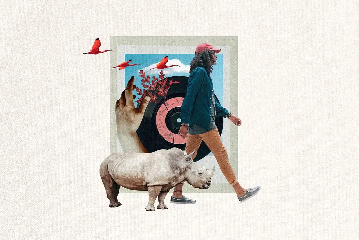 Plot Twist Collage Creator