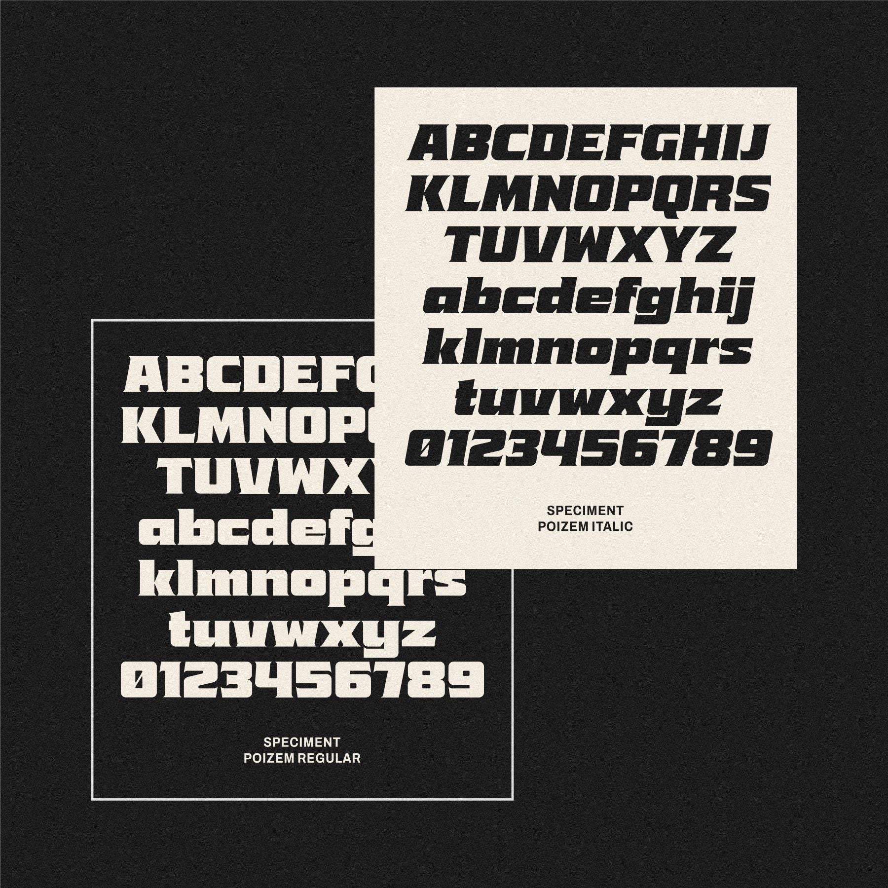 poizem-bold-serif-typeface-holisfonts-6.jpg