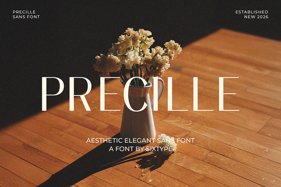 precille-classic-modern-sans-sixtysix-labs-studio-2.jpg