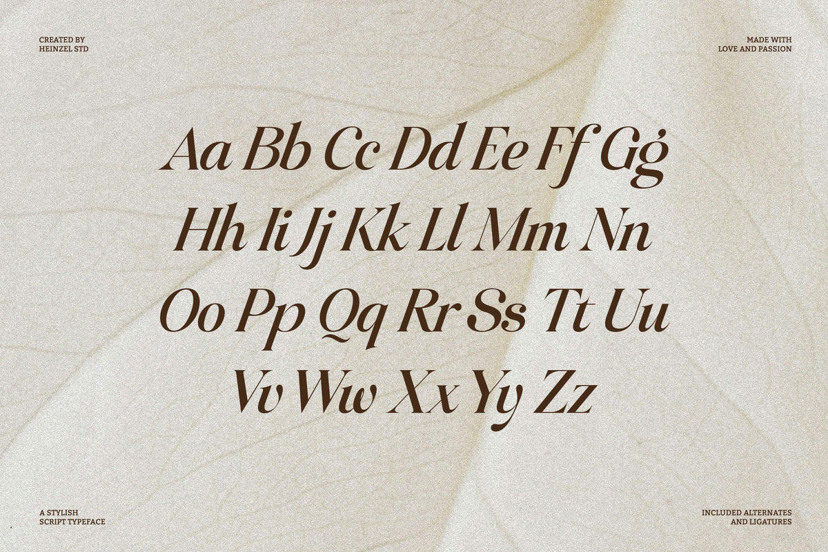 raillouise-stylish-script-font-unknown-creator-12.jpg