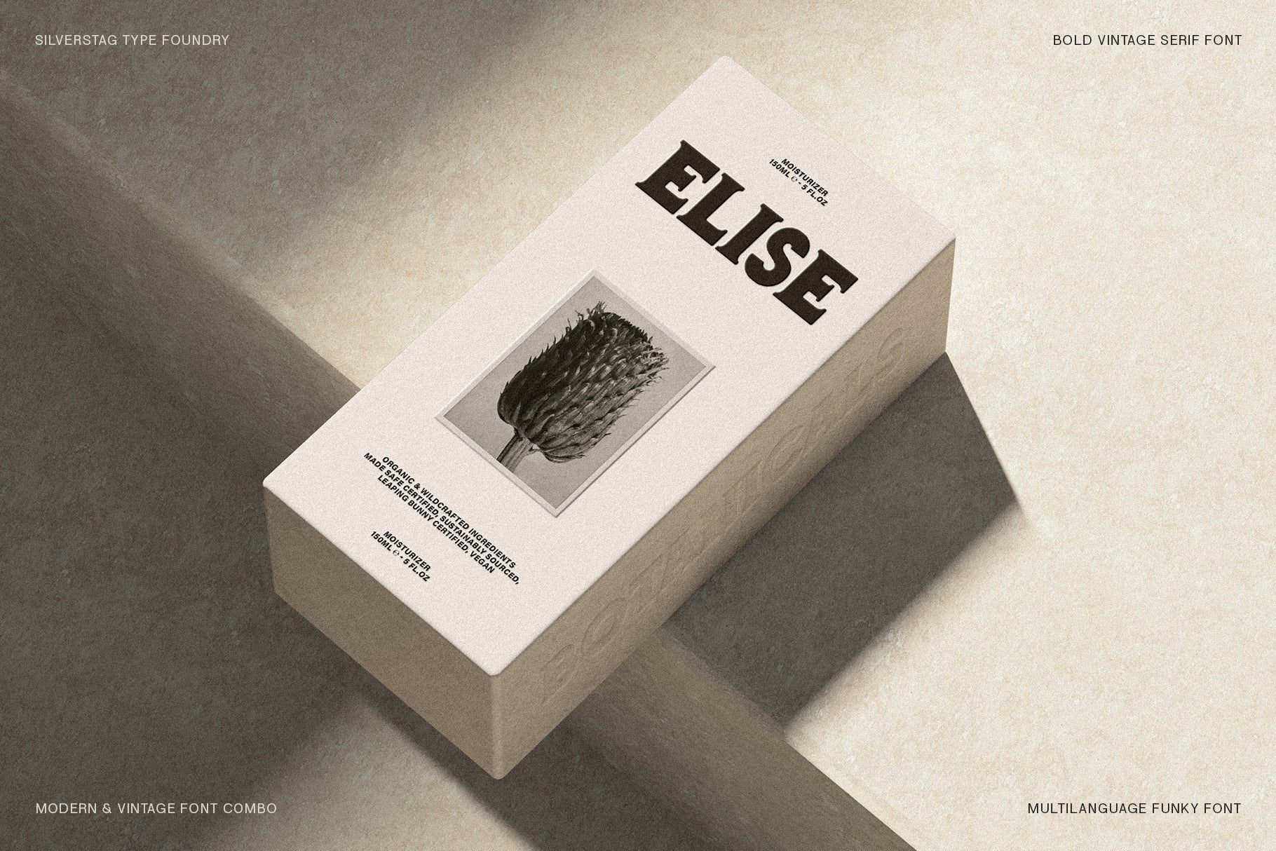 Ranfit - Bold & Funky Serif Font