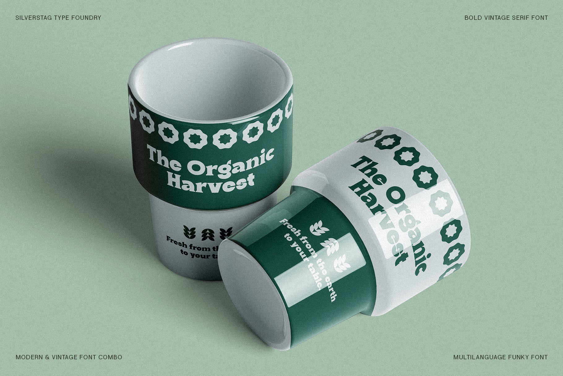 Ranfit - Bold & Funky Serif Font