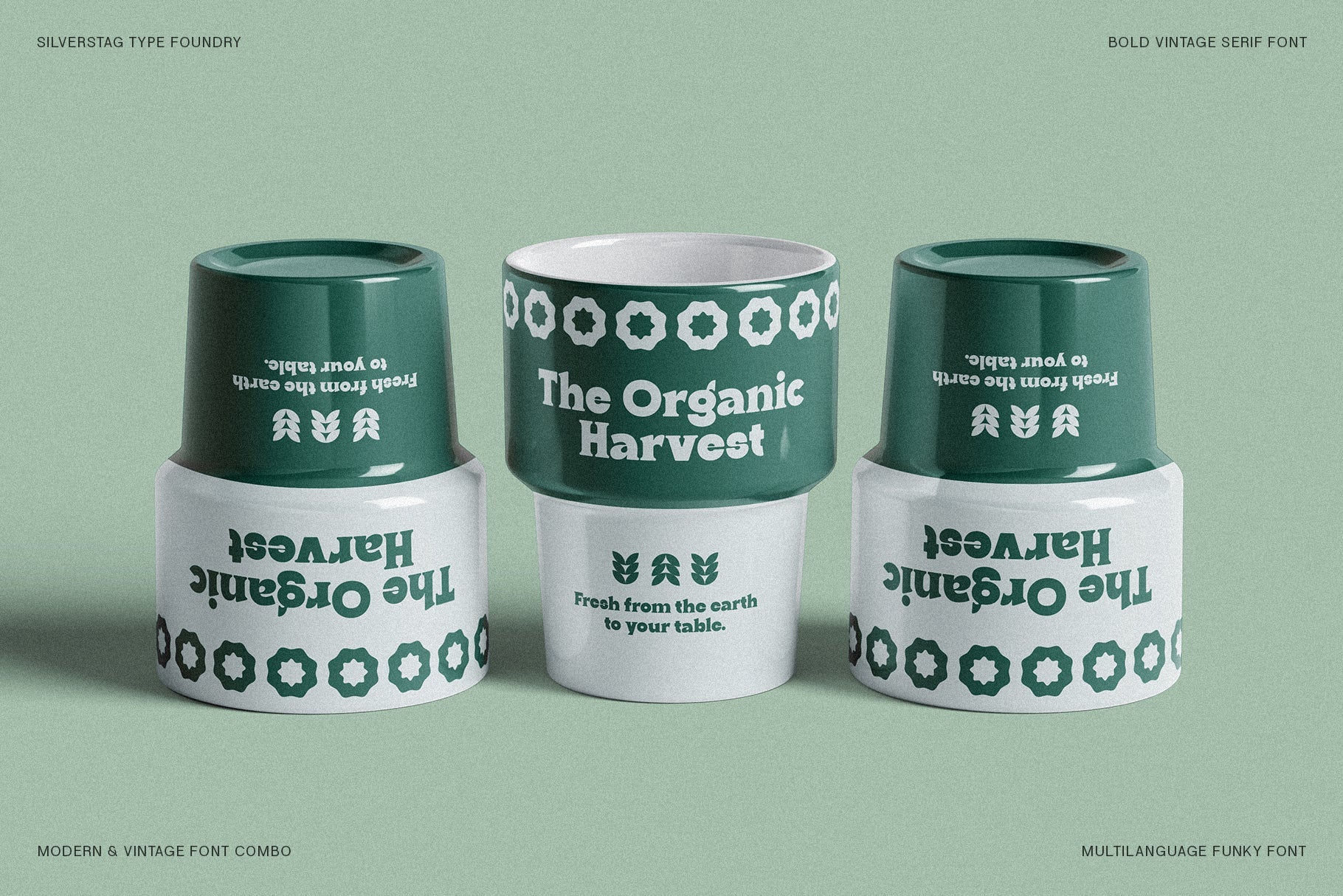 Ranfit - Bold & Funky Serif Font