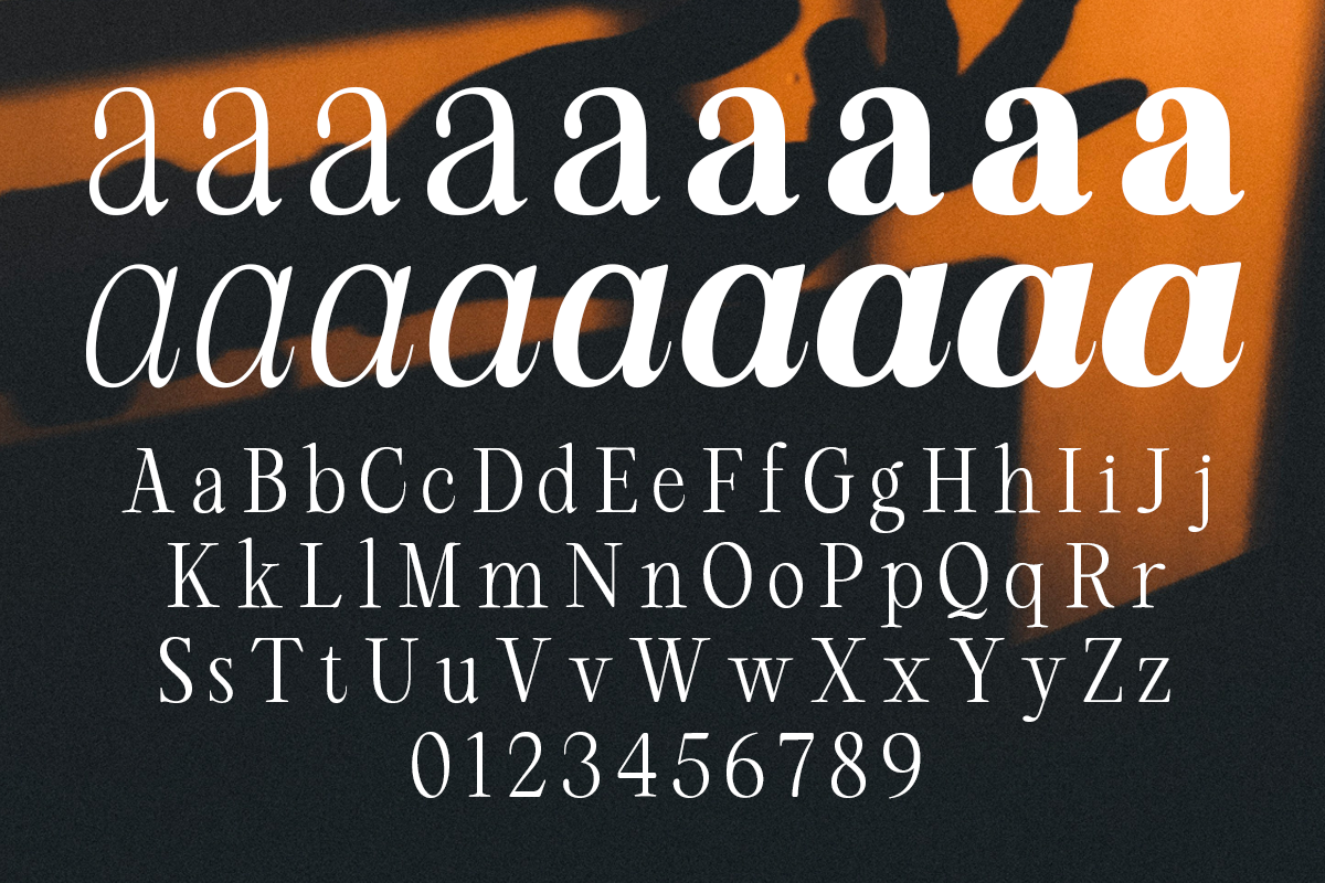 rcl-arviel-modern-editorial-serif-font-family-roomspace-creative-lab-13.png