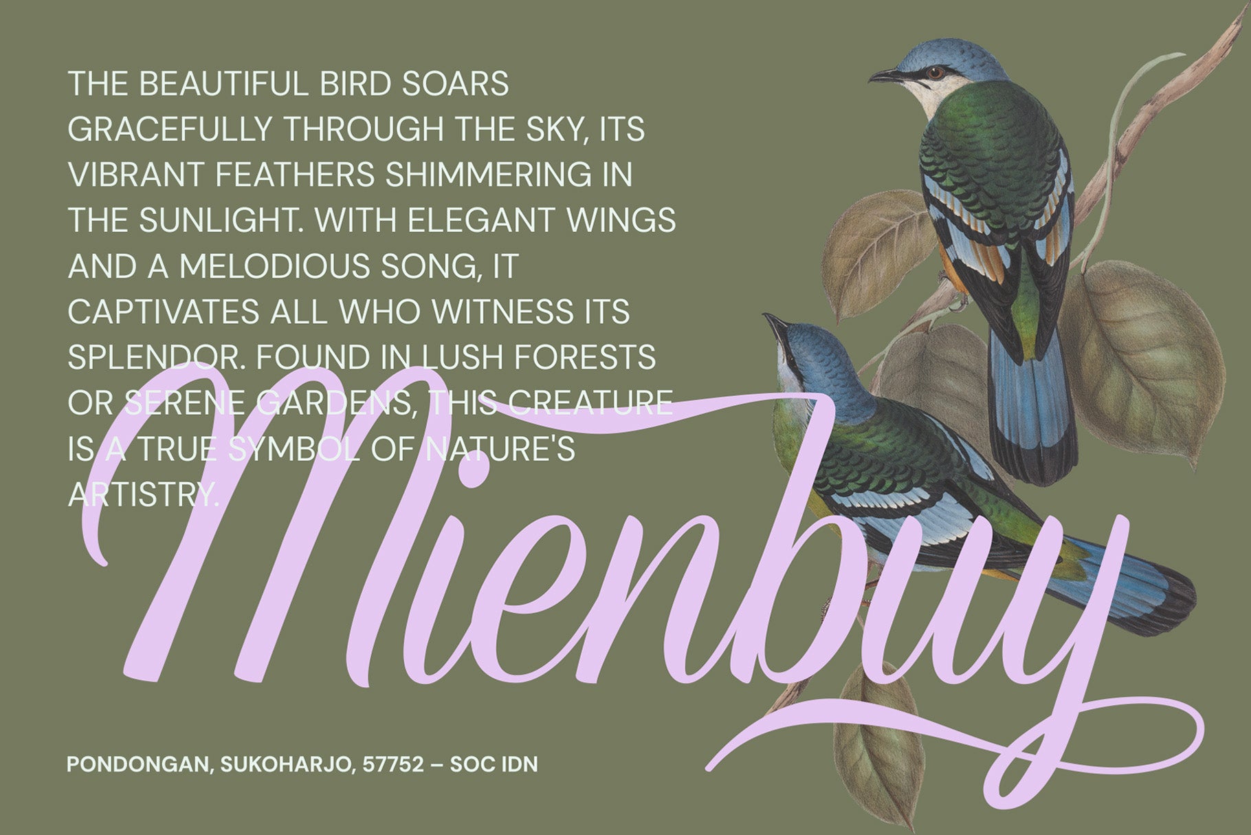 Refinsted - Modern Classic Script