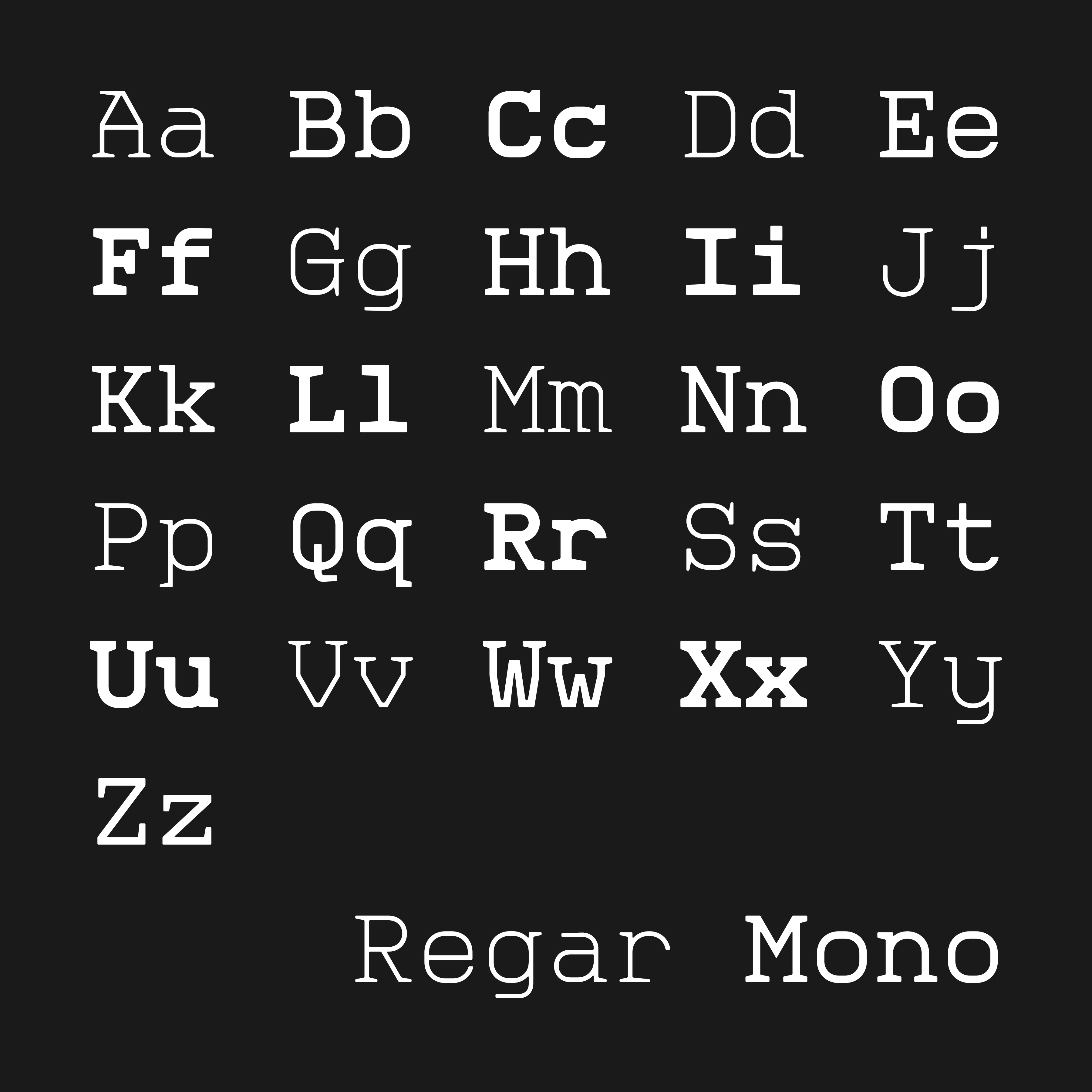 regar-monospaced-typeface-family-unknown-creator-4.png