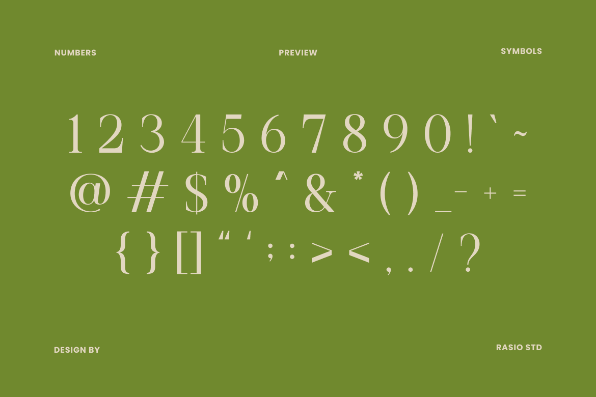 remara-elegant-decorative-serif-font-rasio-std-3.png