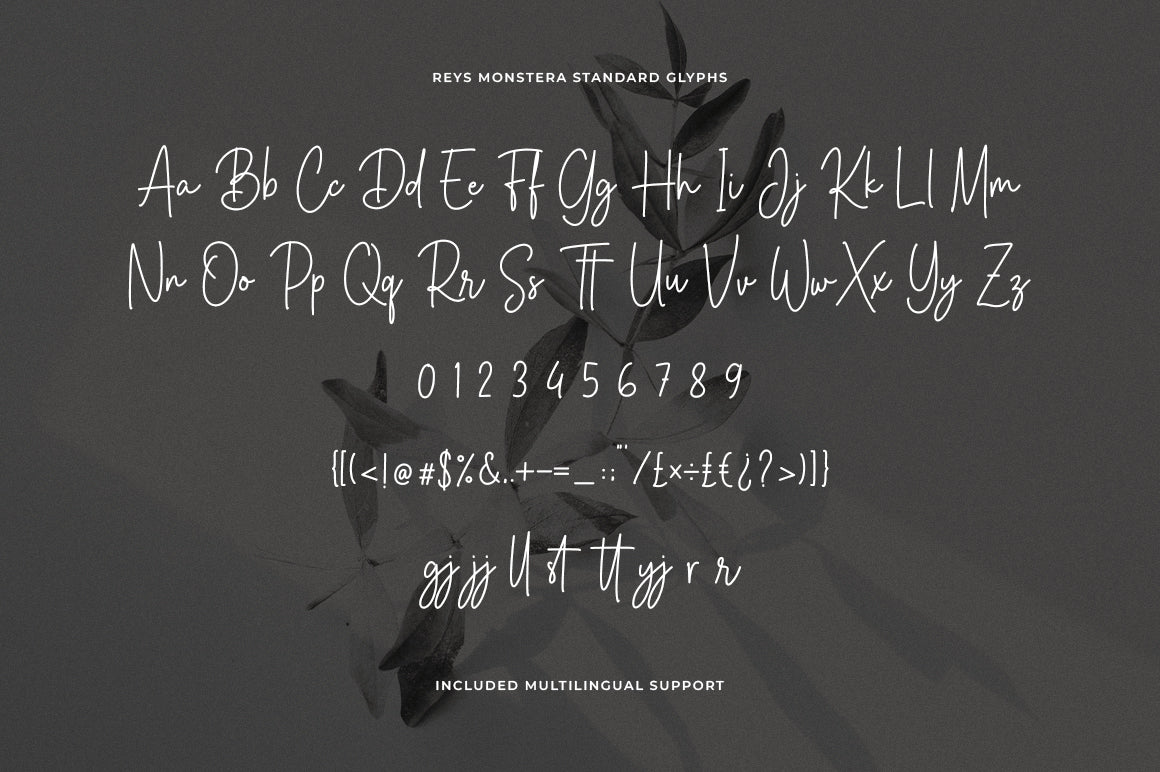 reys-monstera-signature-script-font-unknown-creator-12.jpg
