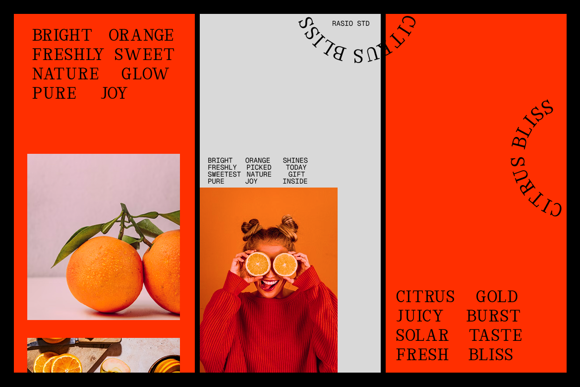 rigidon-mono-modern-serif-monospace-font-rasio-std-5.png