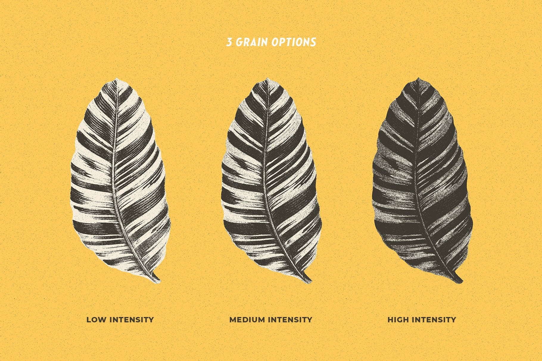 Risograph Grain Effect