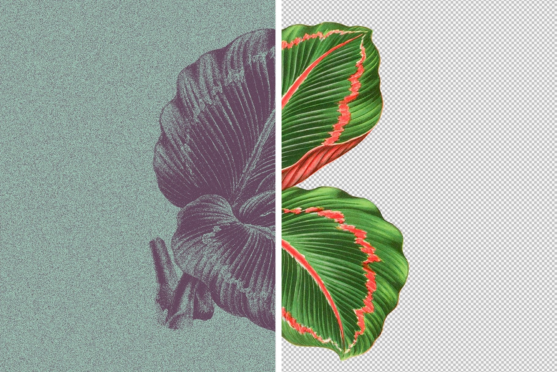 Risograph Grain Effect