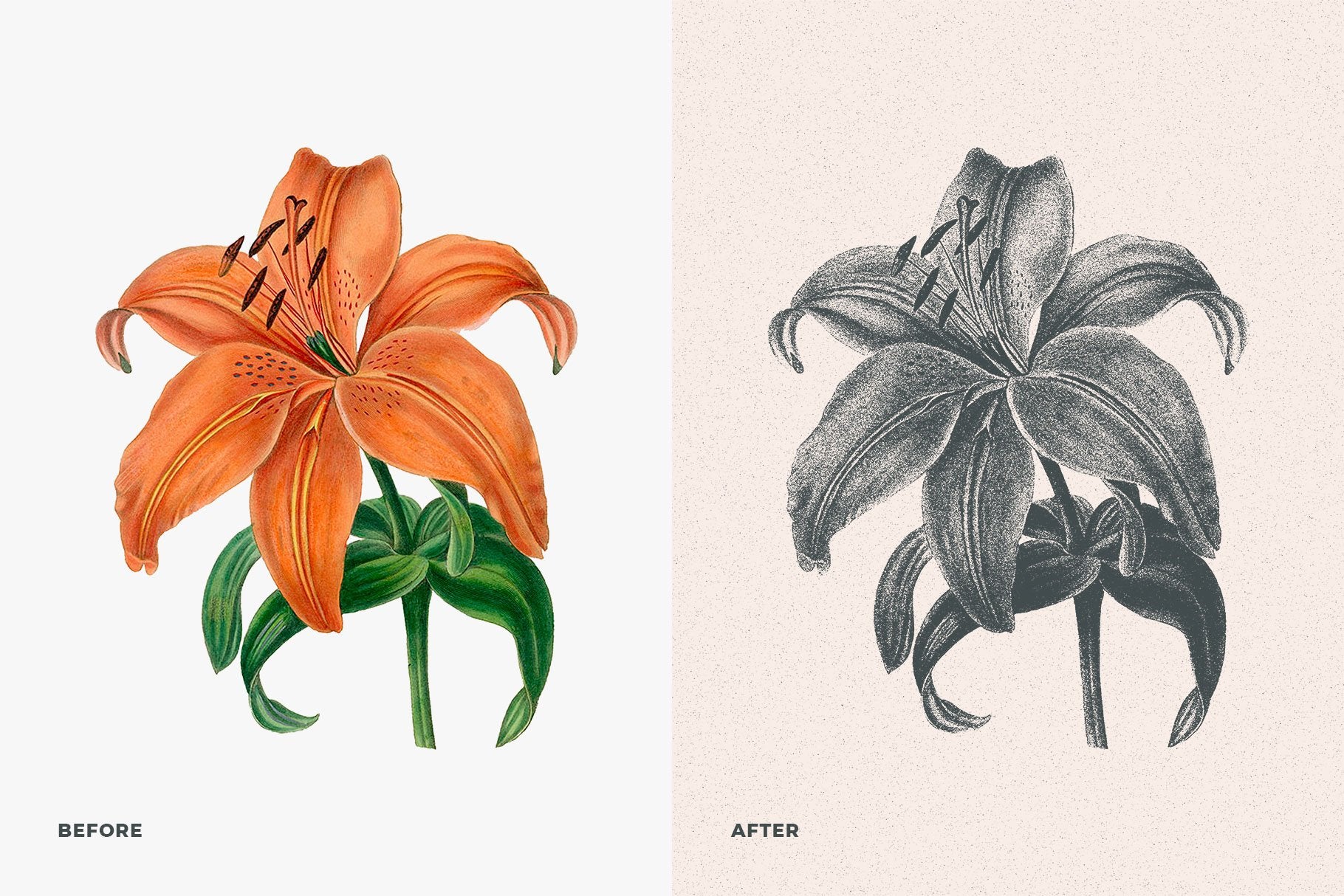 Risograph Grain Effect