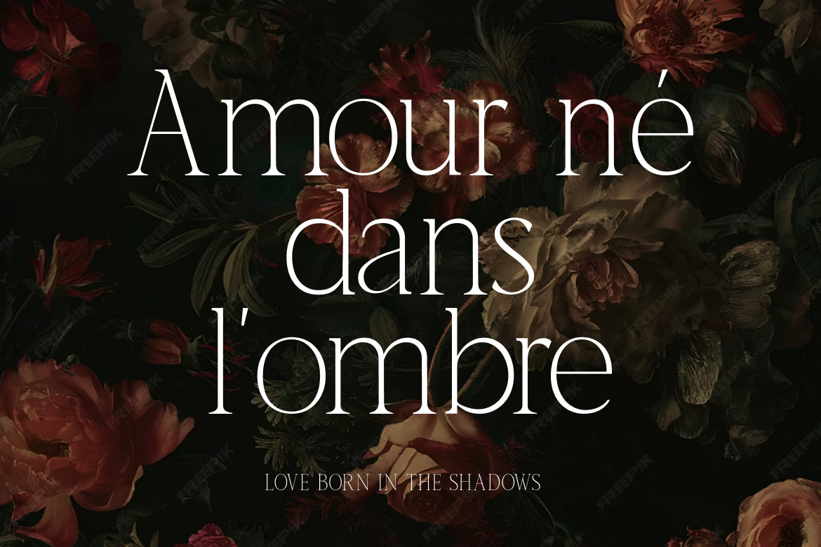 romira-etoile-modern-elegant-editorial-serif-font-rasio-std-6.jpg