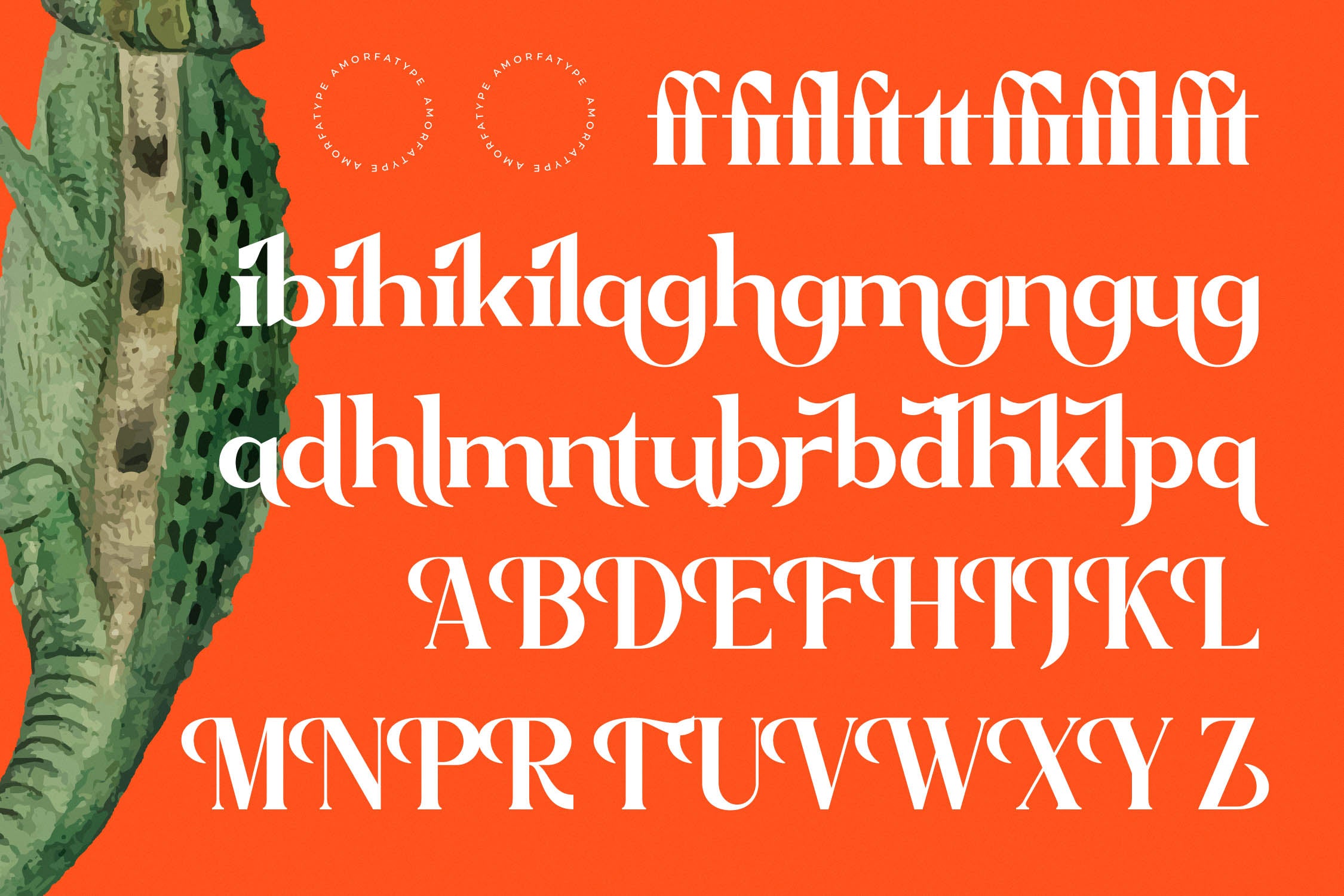 sagfield-modern-serif-font-amorfatype-studios-5.jpg
