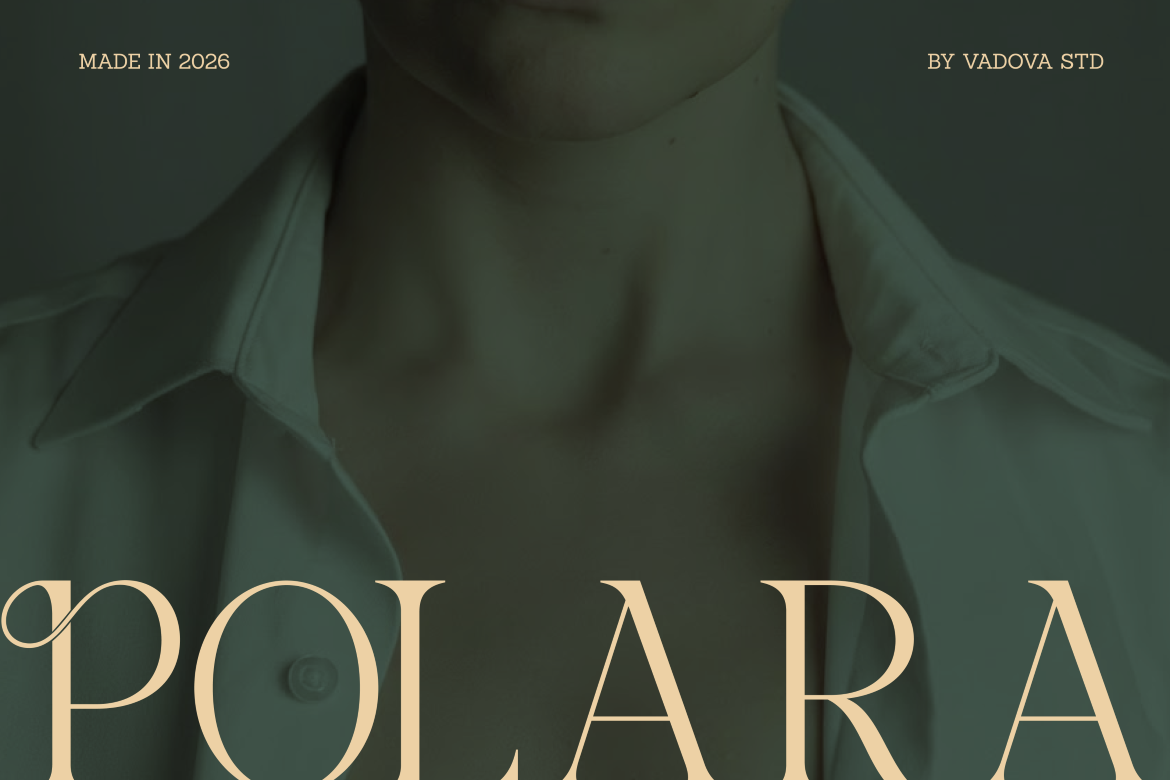 salmine-modern-elegant-serif-font-vadova-studio-4.png