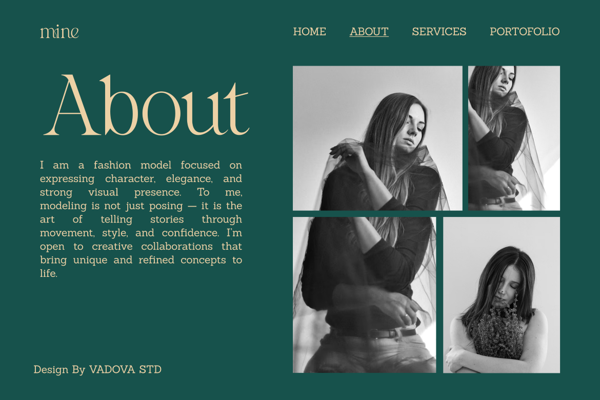 salmine-modern-elegant-serif-font-vadova-studio-6.png