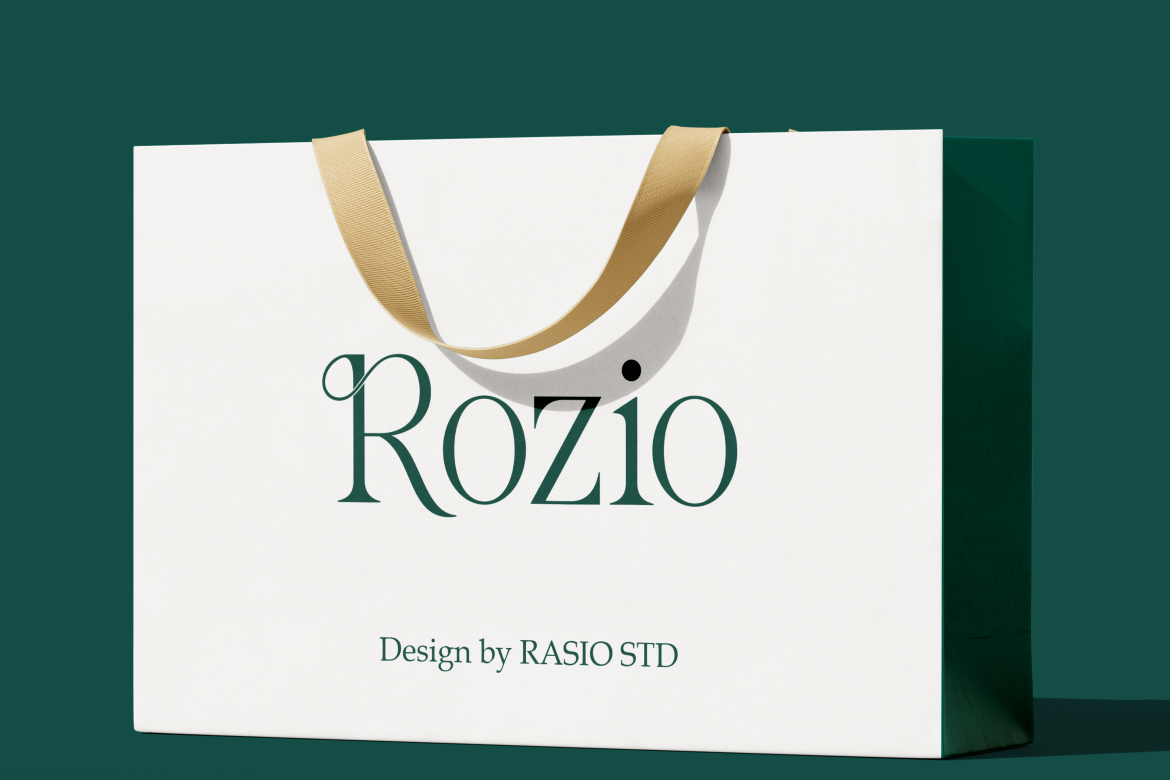 salmine-modern-elegant-serif-font-vadova-studio-7.png