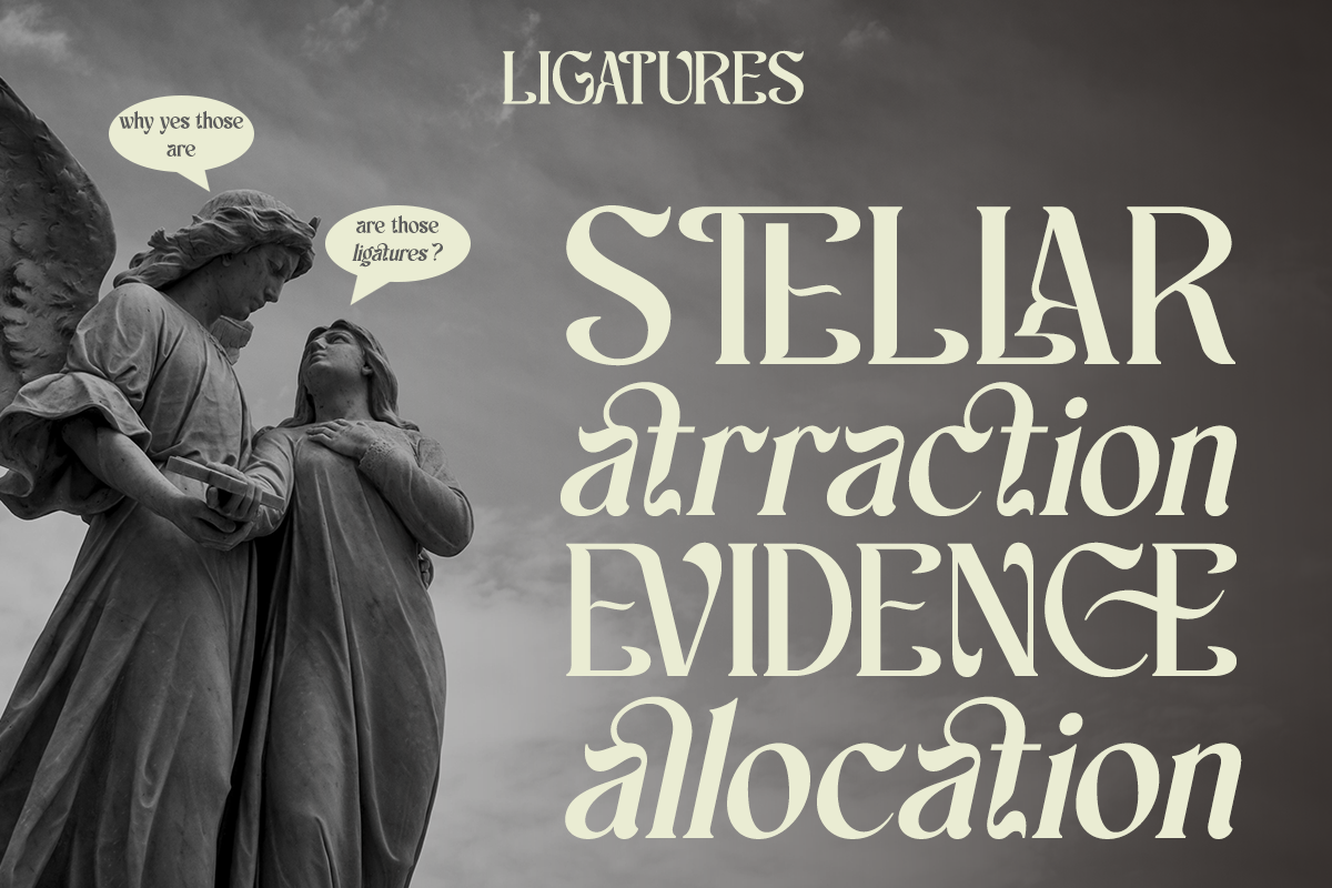 schales-aesthetic-ligature-serif-font-unknown-creator-10.png