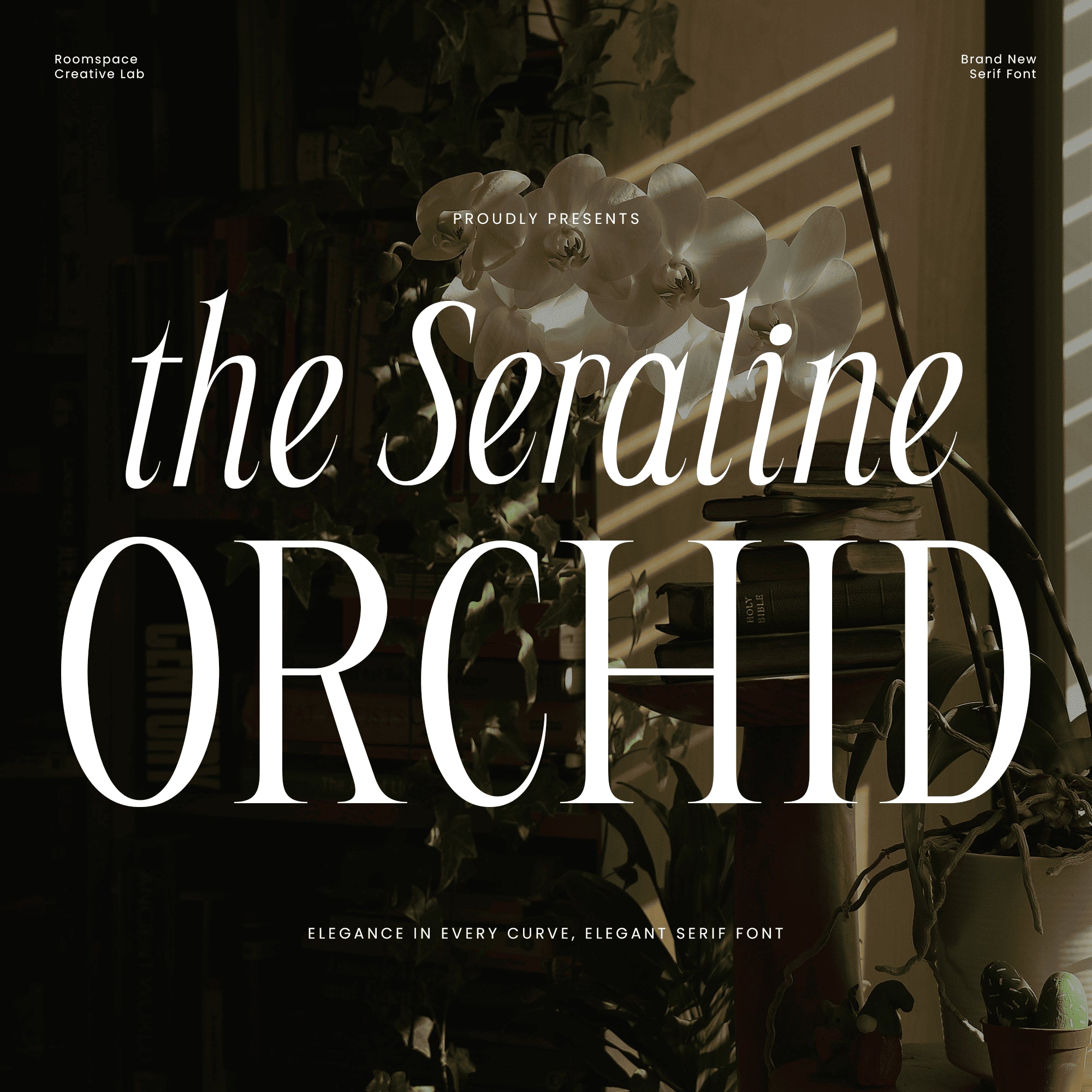 seraline-orchid-modern-elegant-serif-roomspace-creative-lab-1.png