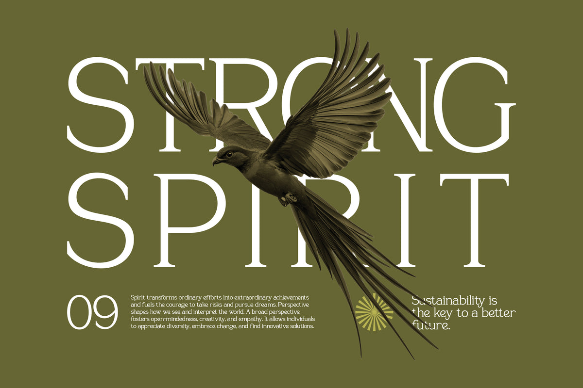 sevoilla-elegant-serif-typeface-font-vadova-studio-4.jpg