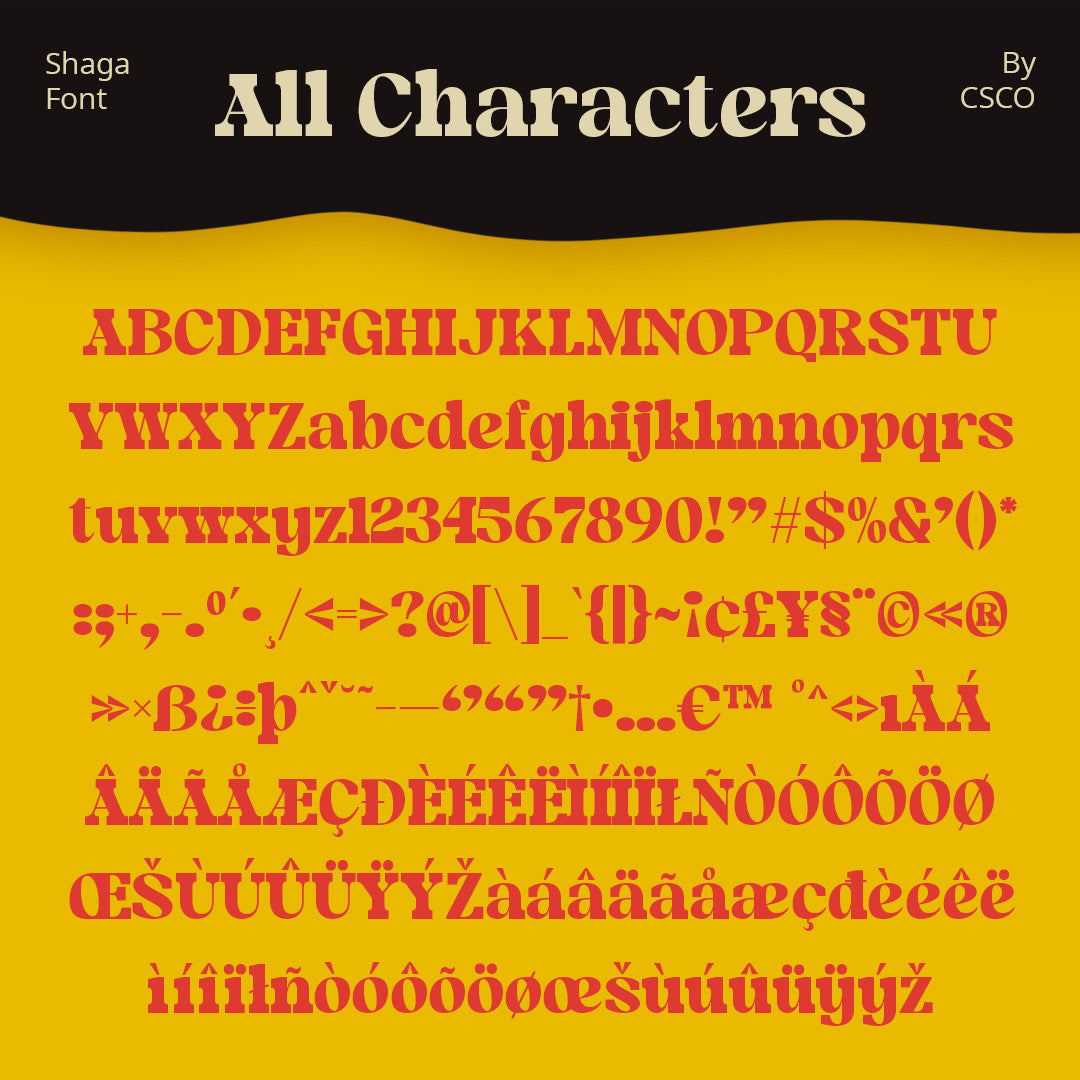 shaga-fun-serif-craft-supply-co-8.jpg
