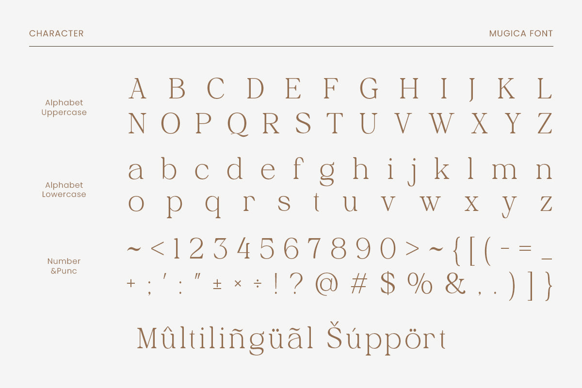 shilmaz-elegant-modern-serif-font-roomspace-creative-lab-11.jpg
