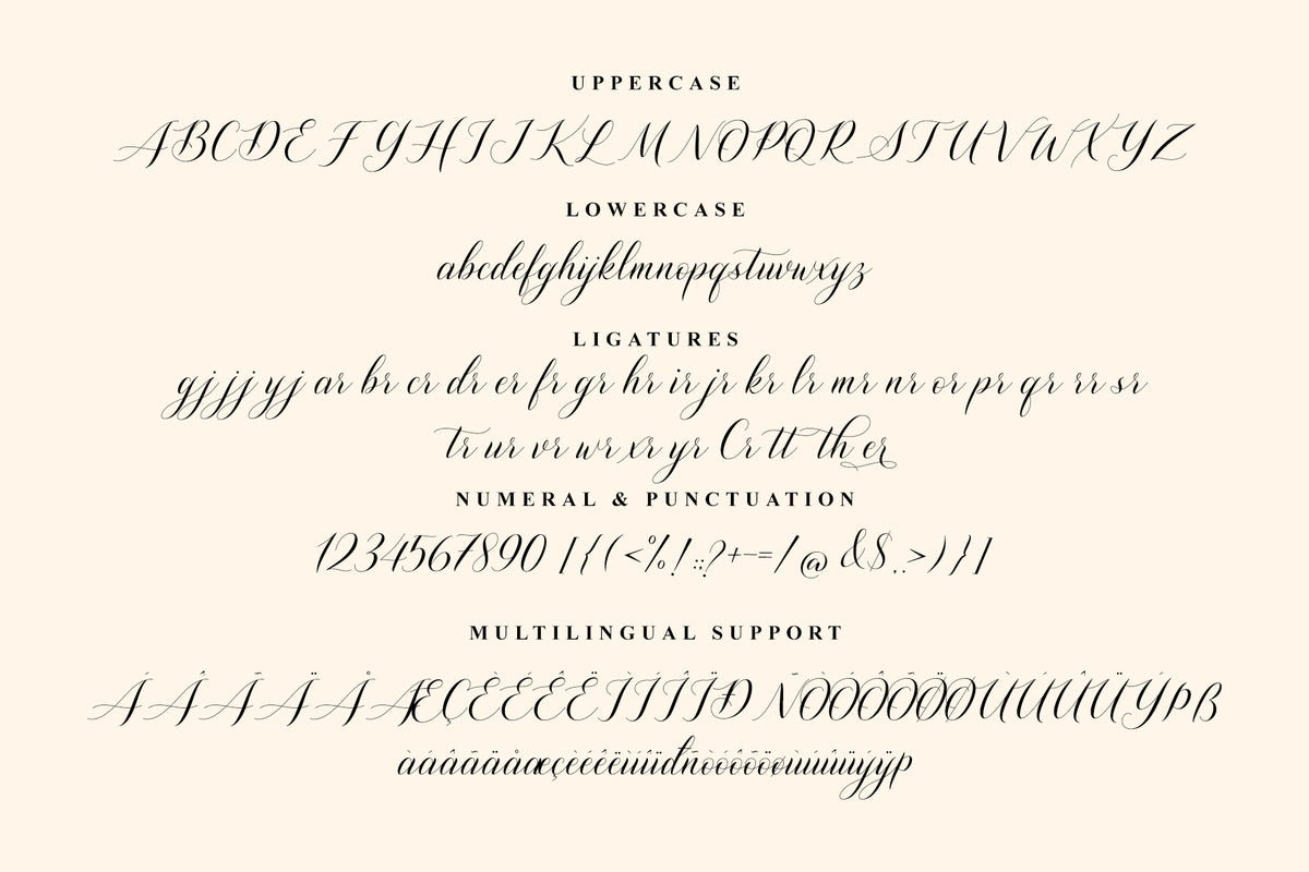 shutterday-elegant-calligraphy-script-font-unknown-creator-11.jpg