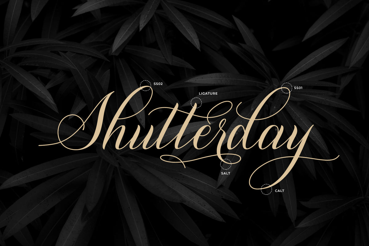 shutterday-elegant-calligraphy-script-font-unknown-creator-7.jpg