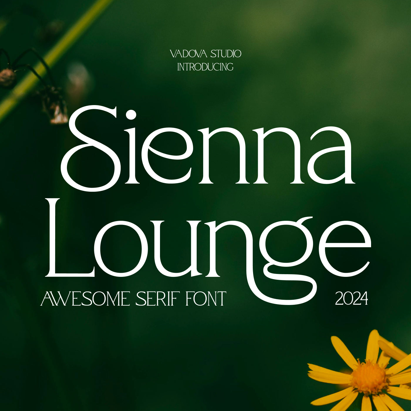 sienna-lounge-serif-font-vadova-studio-1.jpg