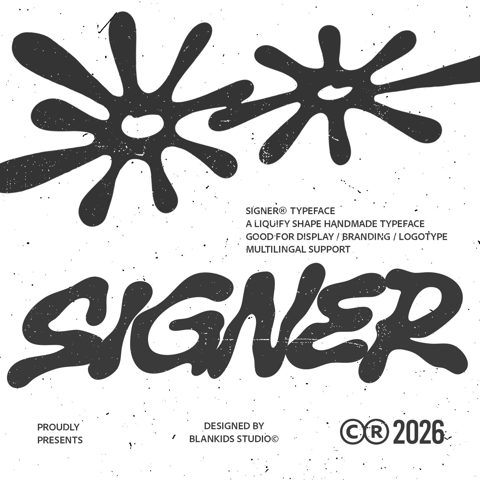 signer-a-bold-liquid-display-typeface-blankids-1.jpg