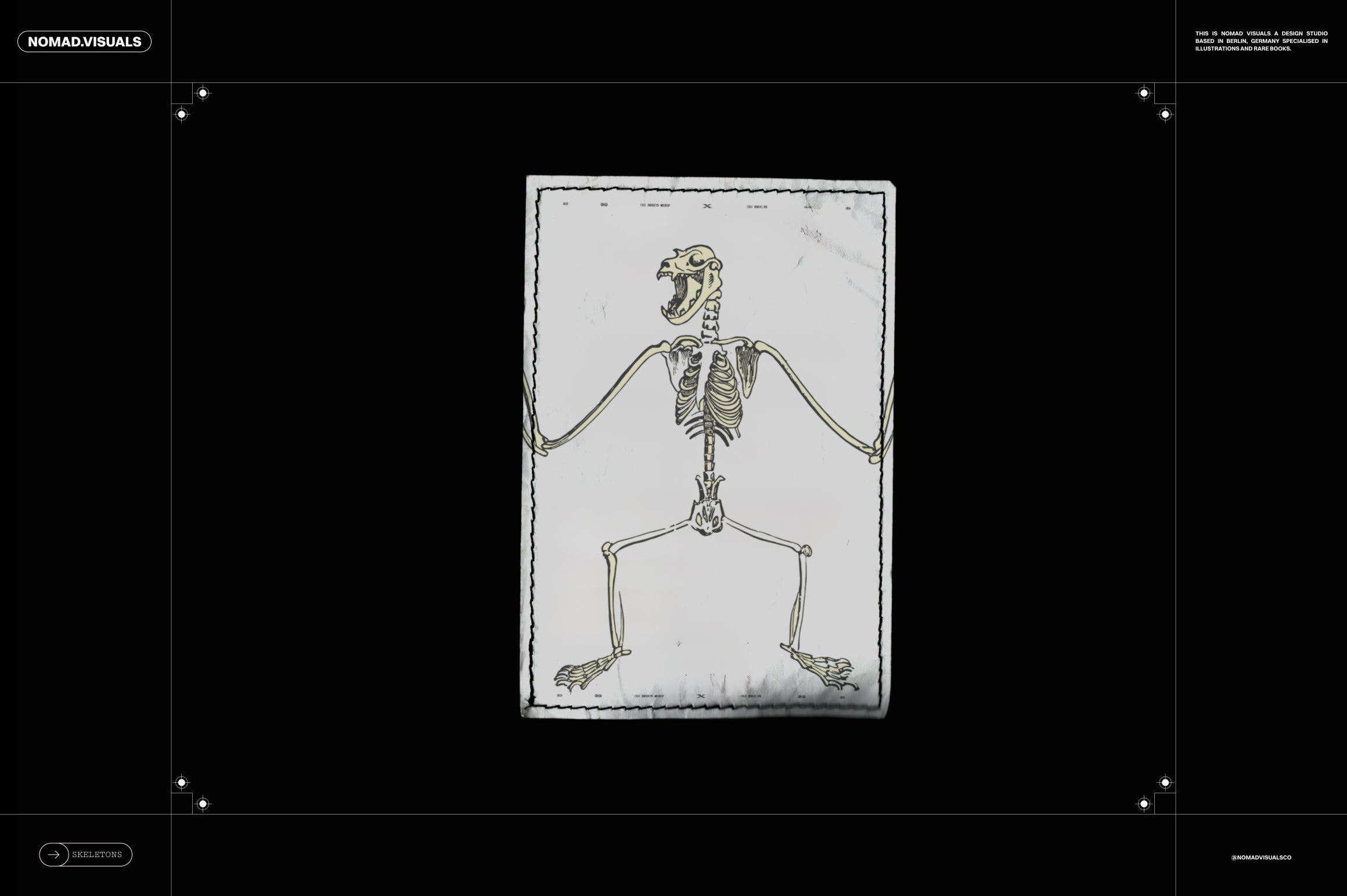 Skeletons & Bones