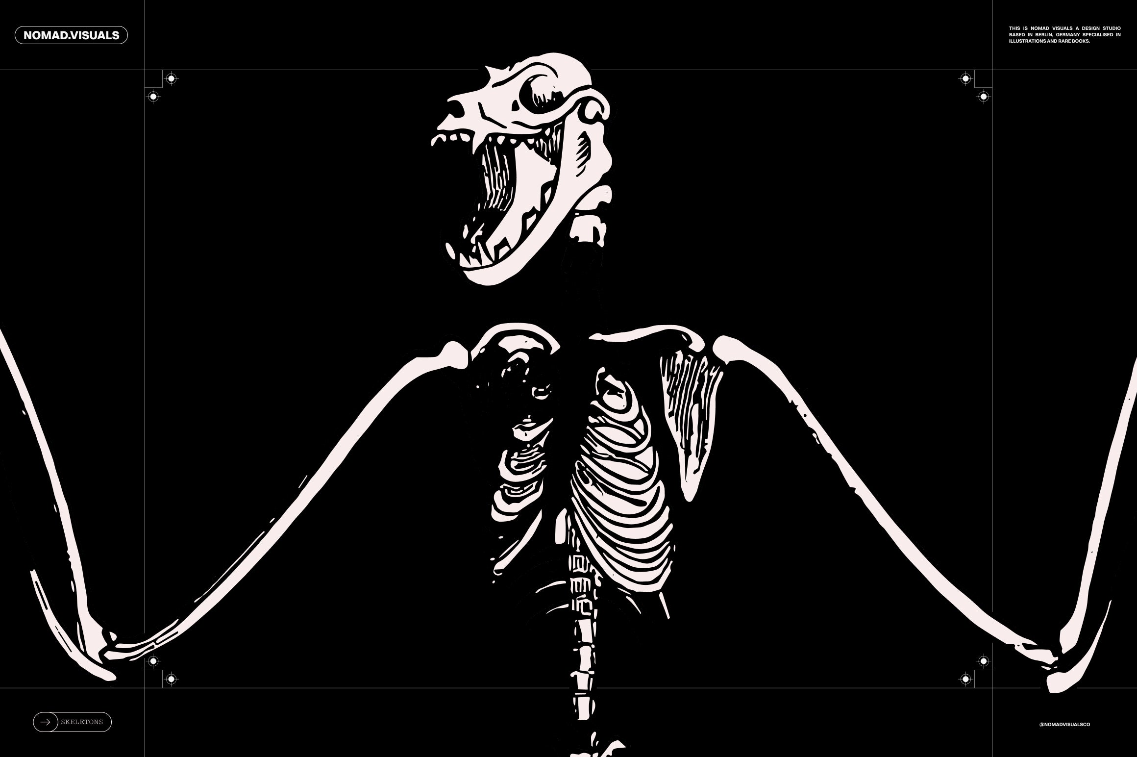 Skeletons & Bones