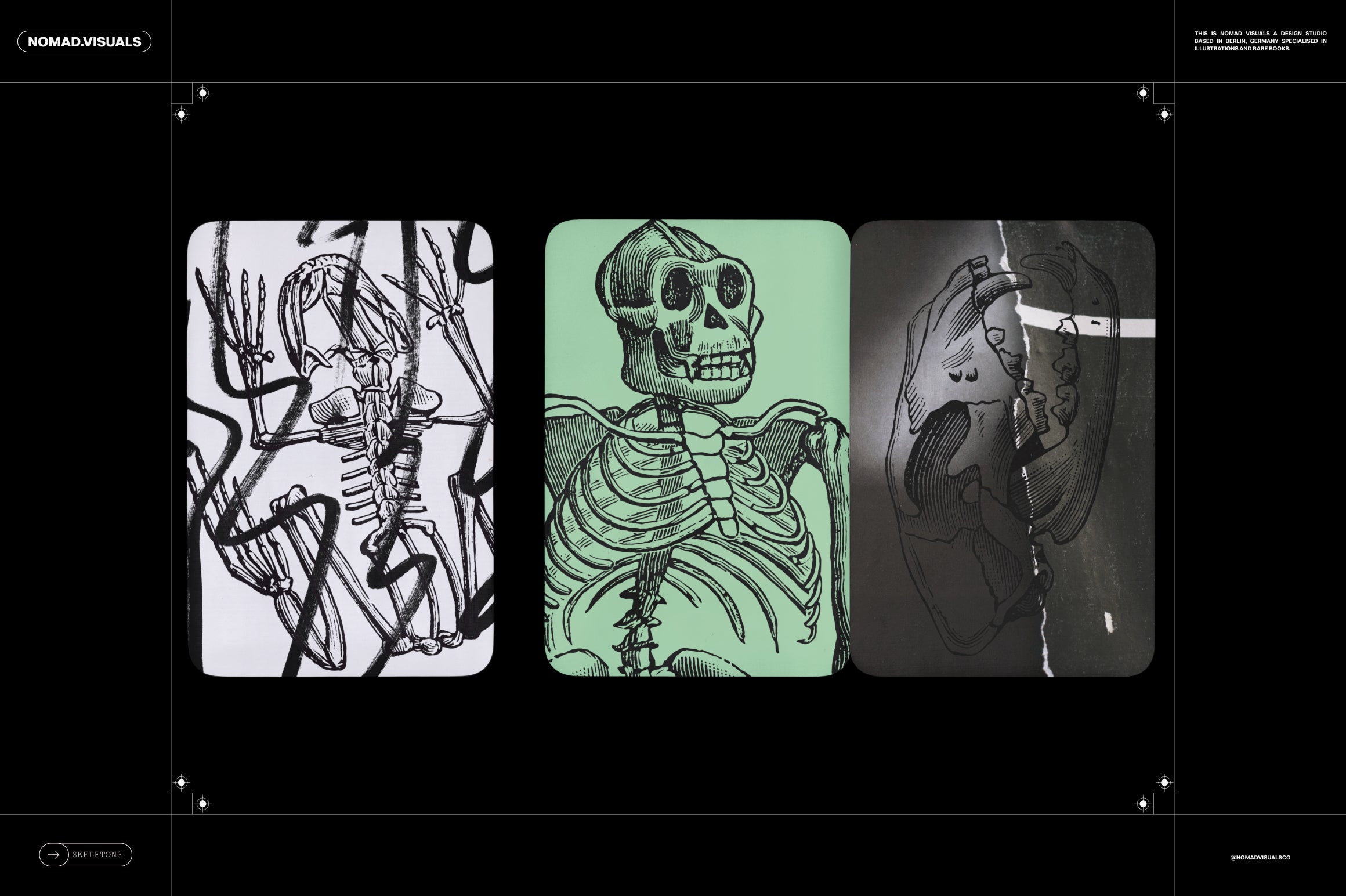 Skeletons & Bones