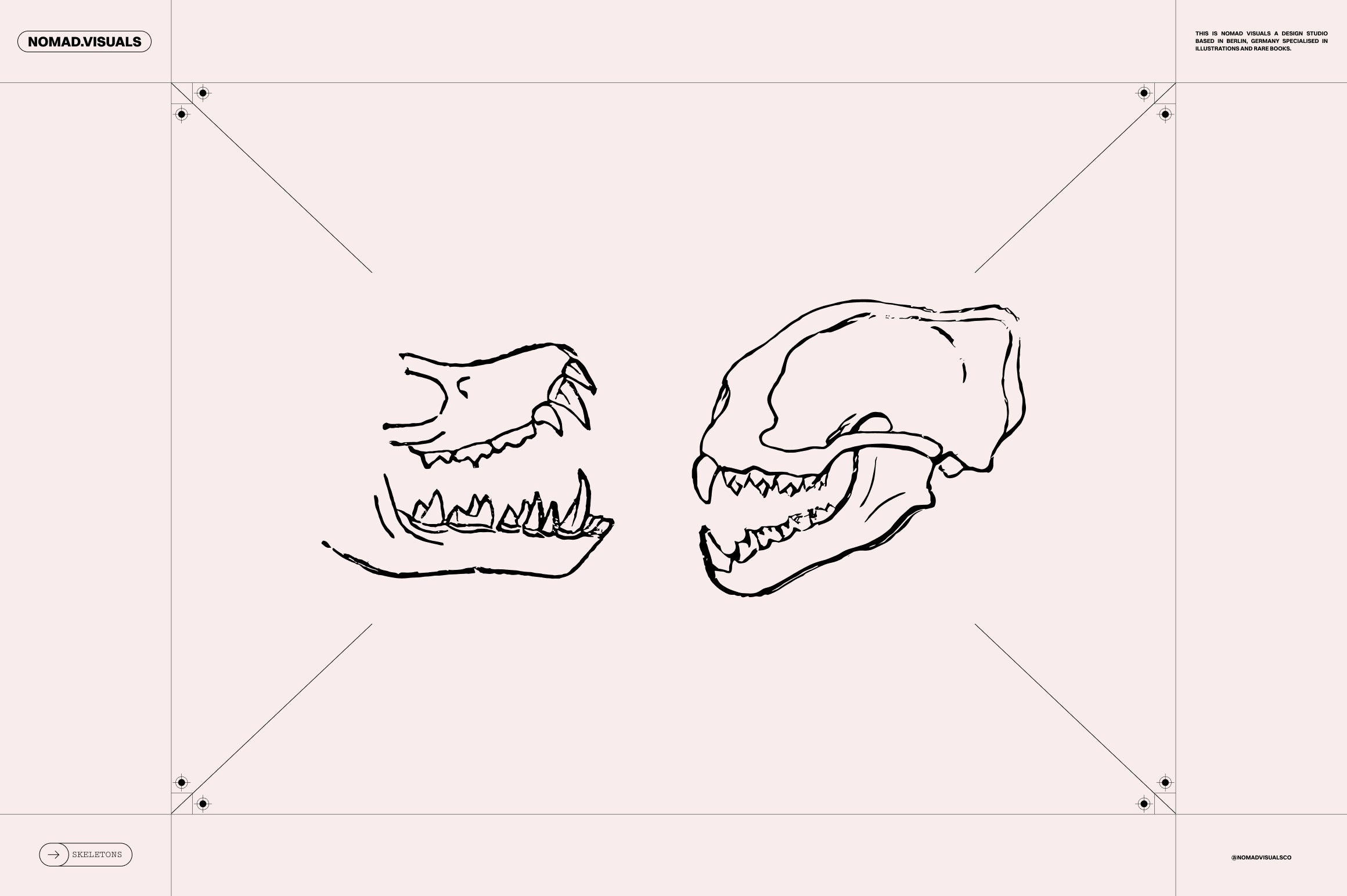 Skeletons & Bones
