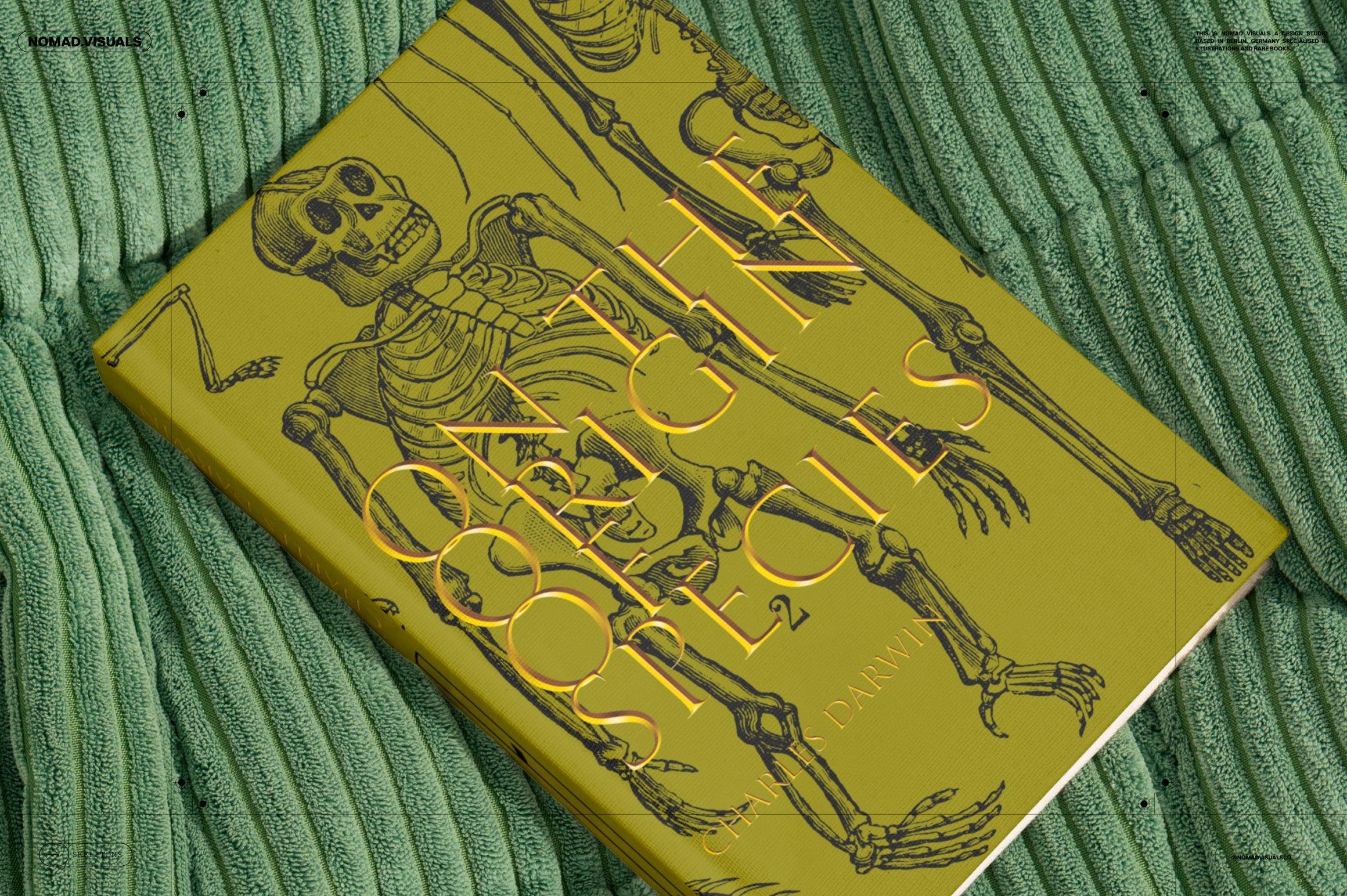 Skeletons & Bones