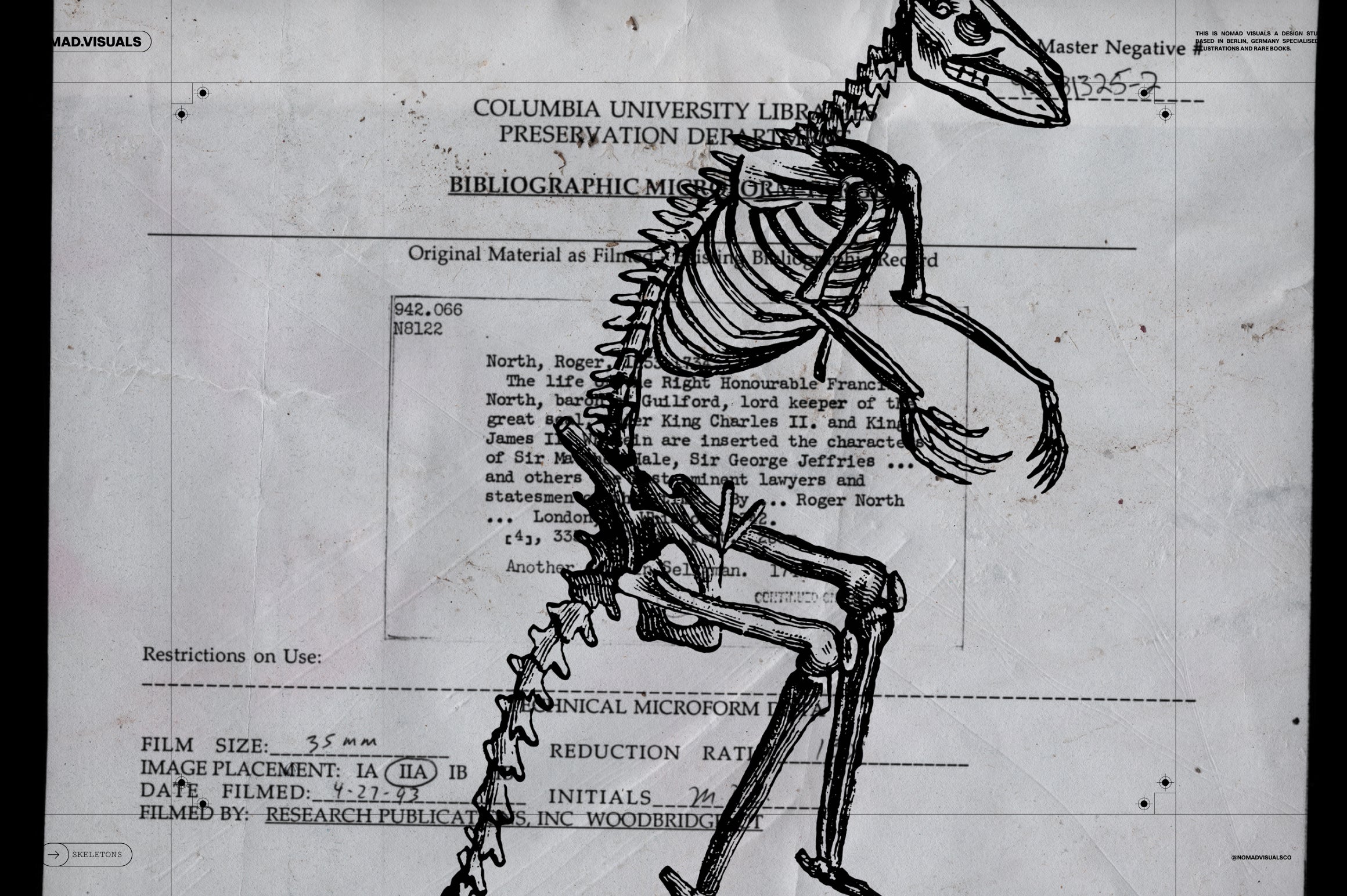 Skeletons & Bones