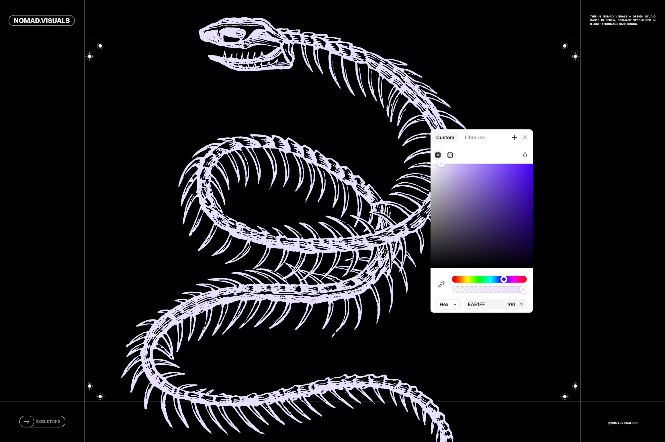 Skeletons & Bones