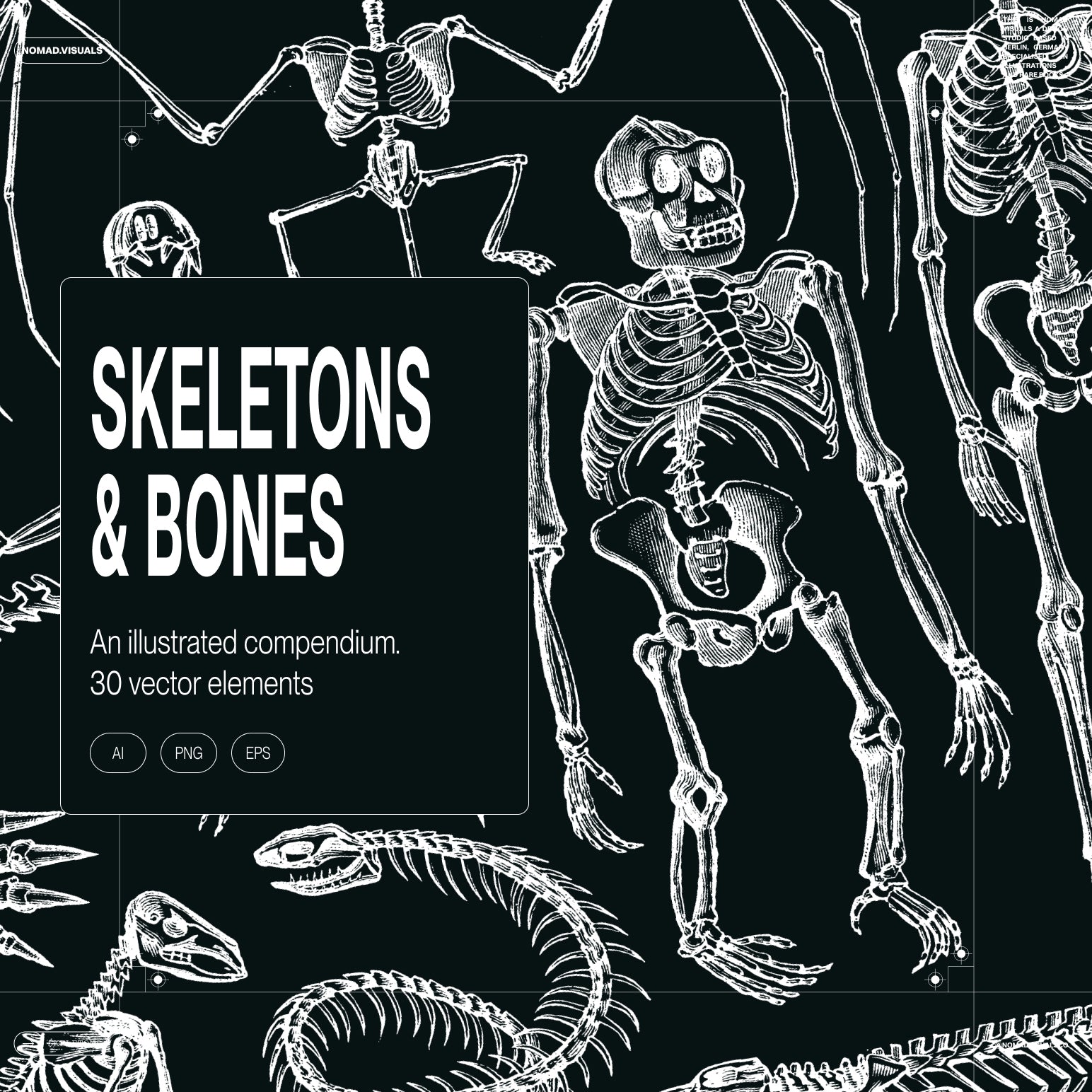 Skeletons & Bones