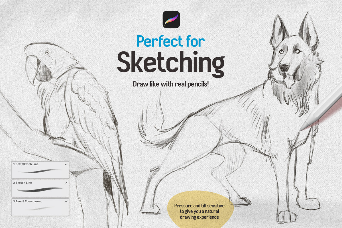 sketchbook-procreate-brushes-unknown-creator-5.jpg