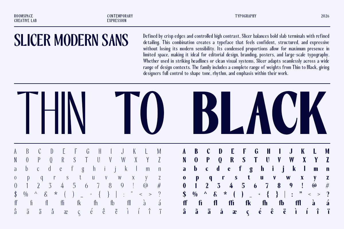 slicer-condensed-sans-serif-font-family-roomspace-creative-lab-12.png