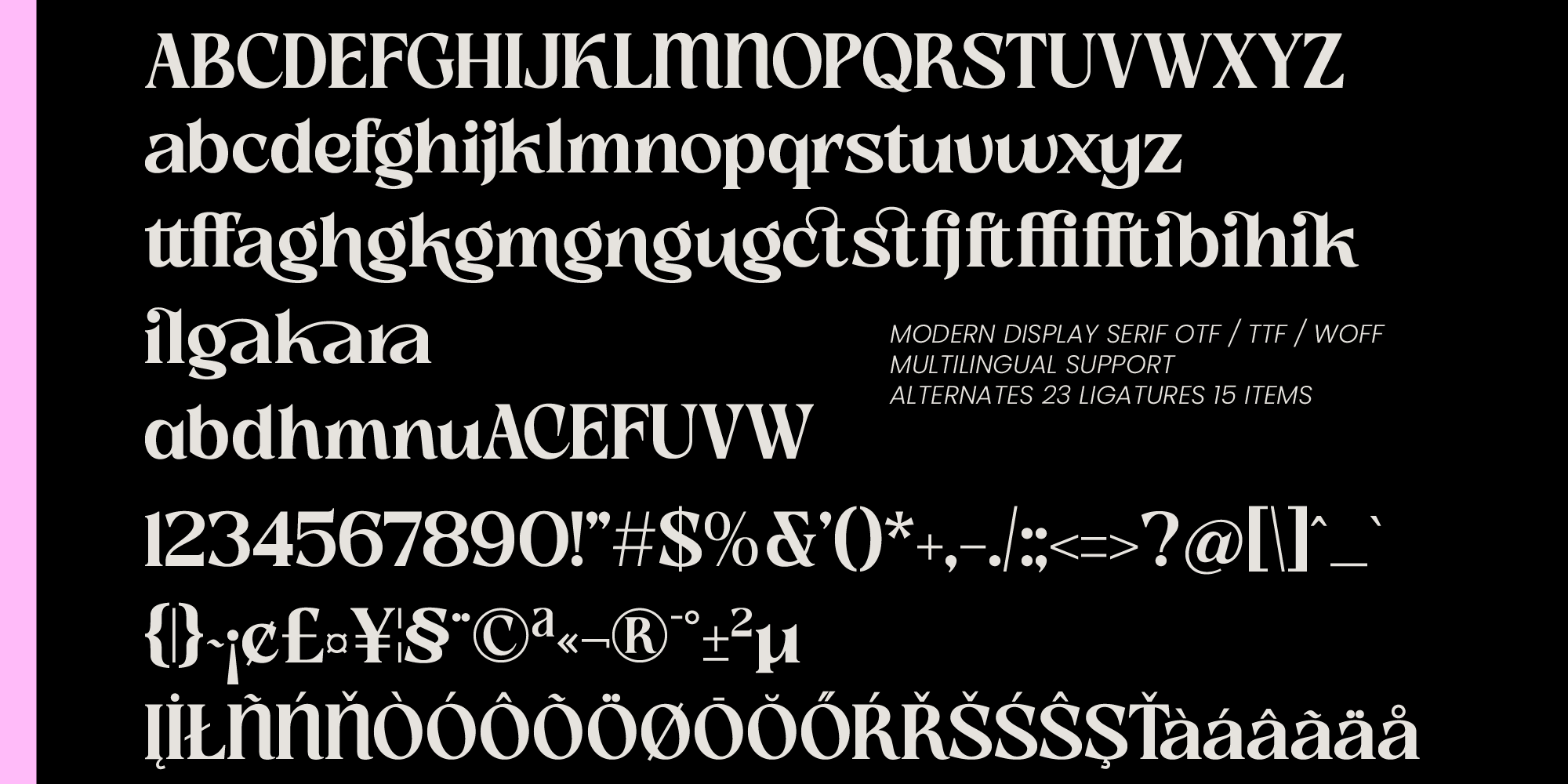 slow-bar-stories-display-serif-amorfatype-studios-5.png
