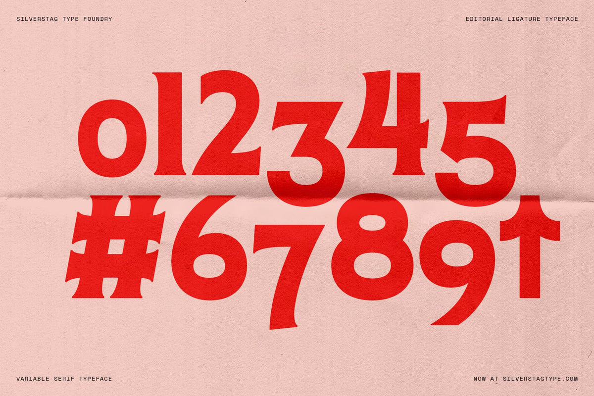 sltf-arcilla-variable-editorial-serif-silverstag-type-foundry-2.jpg