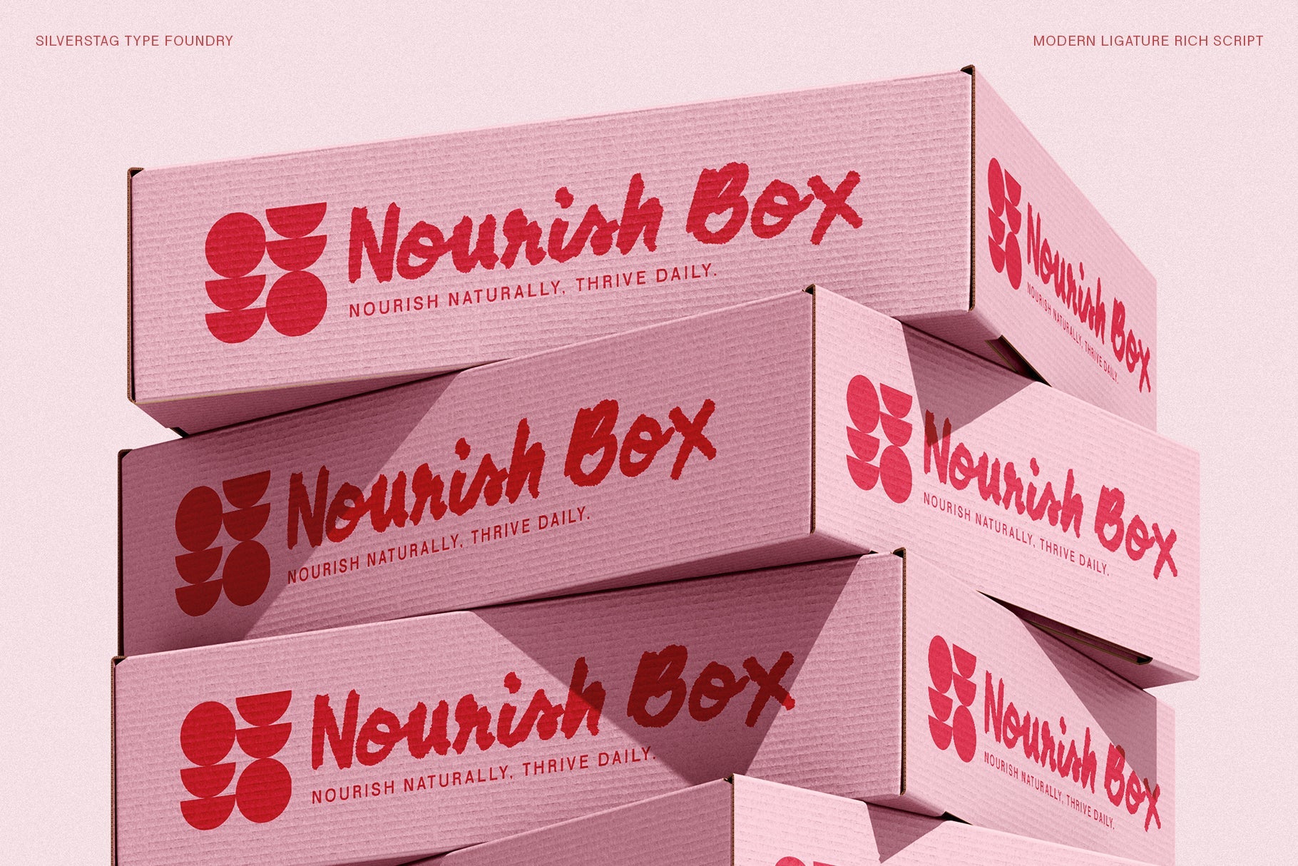 SLTF Midnight Chianti - Bold Handwritten Font